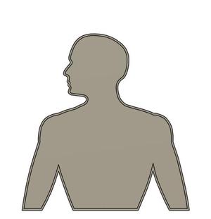 Human Body Torso 2D Biology Learning