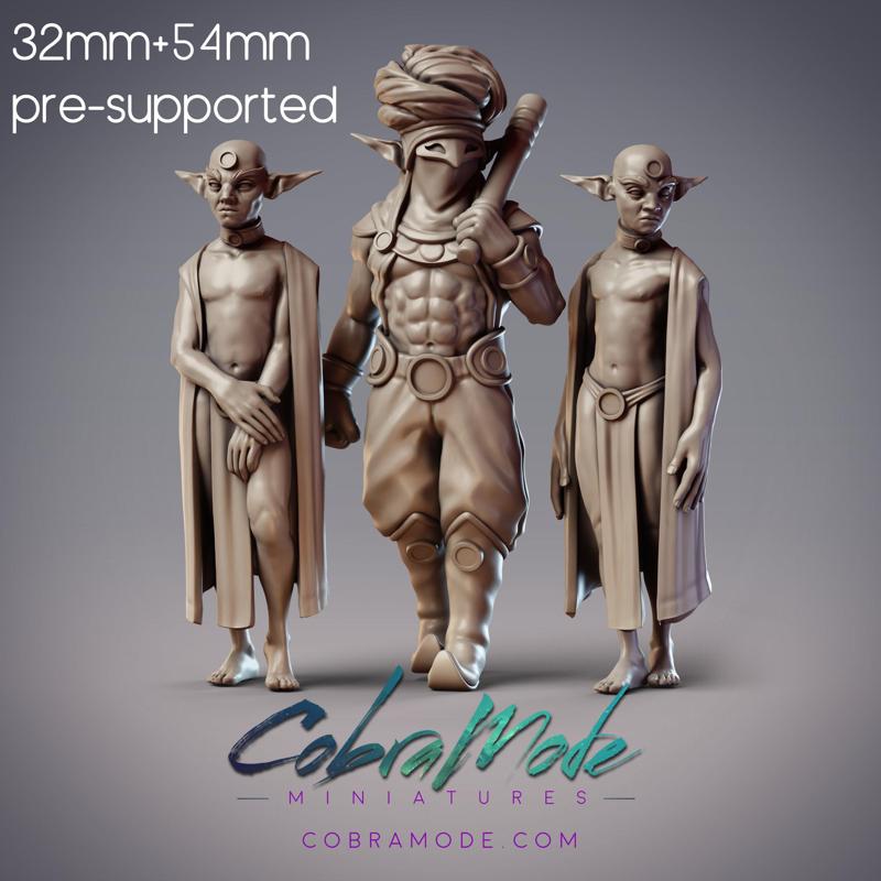 Elf Slave Driver - Shadid, Usurer Overseer and Debtors (Pre-supported)