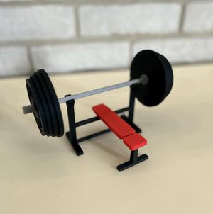 Gym Plate Coasters