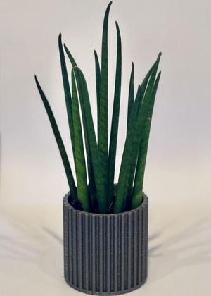 Basic Small Plant Pots - 60mm