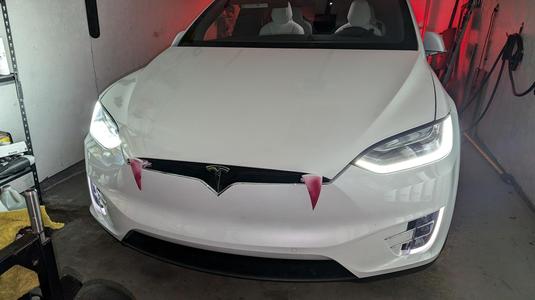 Model X Fangs