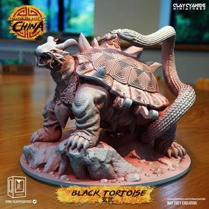 Black Tortoise
