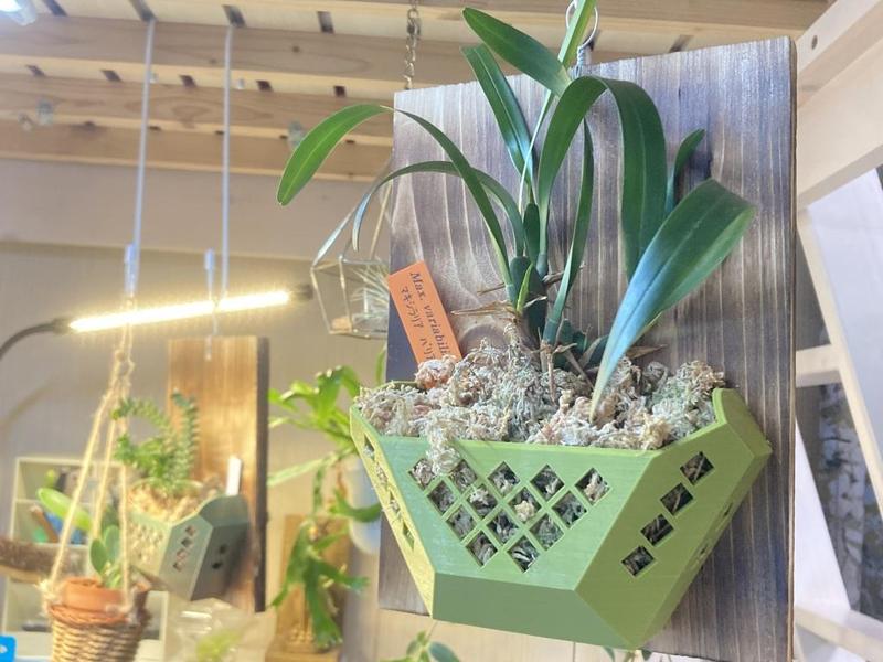 Orchid Basket for plate mounting<EN/JP>