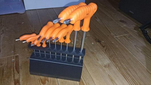 Torx T-handle tools holder