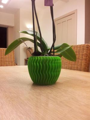 Orchid pot