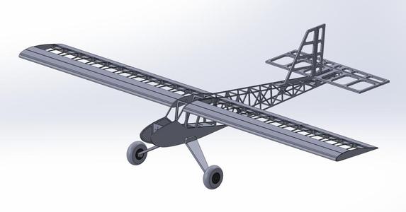 Wicherek 25 RC plane samolot