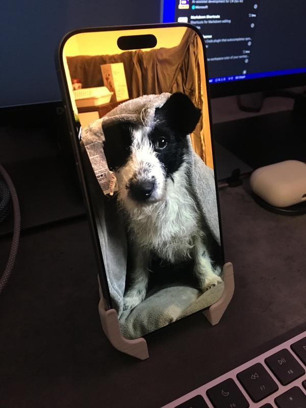 Simple iPhone Pro Max - Landscape & Portrait Stand