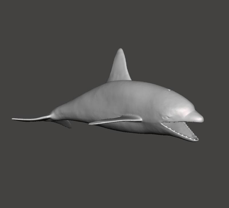 Dolphin Toy 3D Scanned
