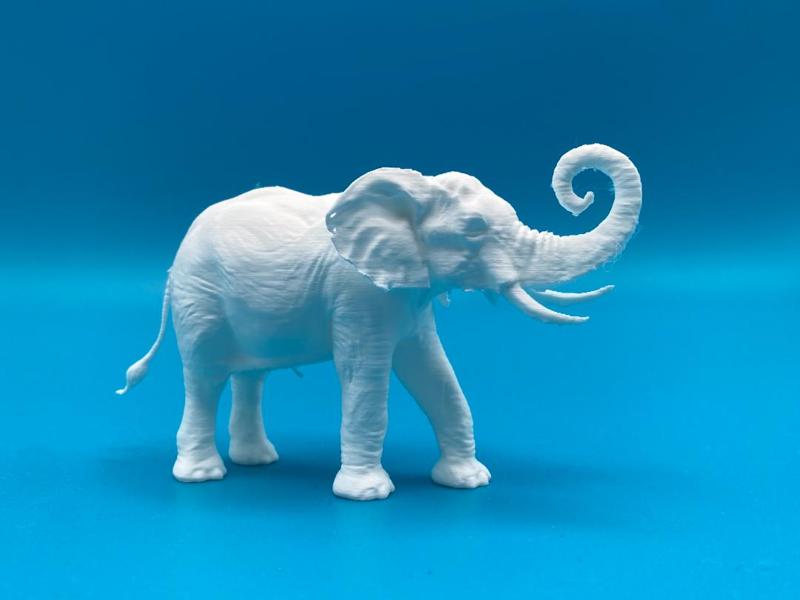 Elephant