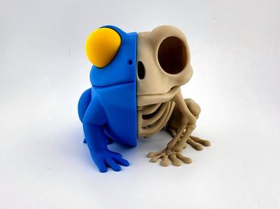 Half Kawaii Frog Half Skeleton Cute Anatomy 3D