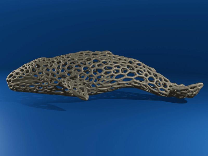 Gray Whale Voronoi