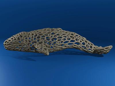 Gray Whale Voronoi