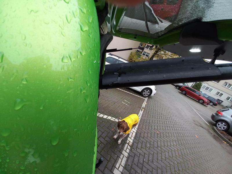 VW Caddy Raindrain Regenabweißer