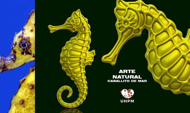 Natural Art - Seahorse