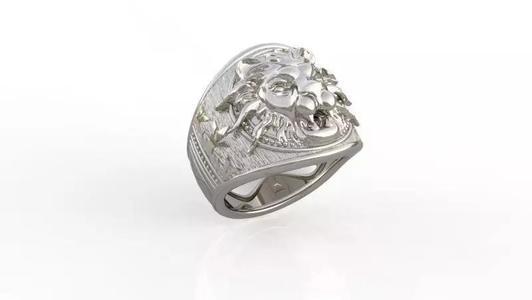 Anillo Leon