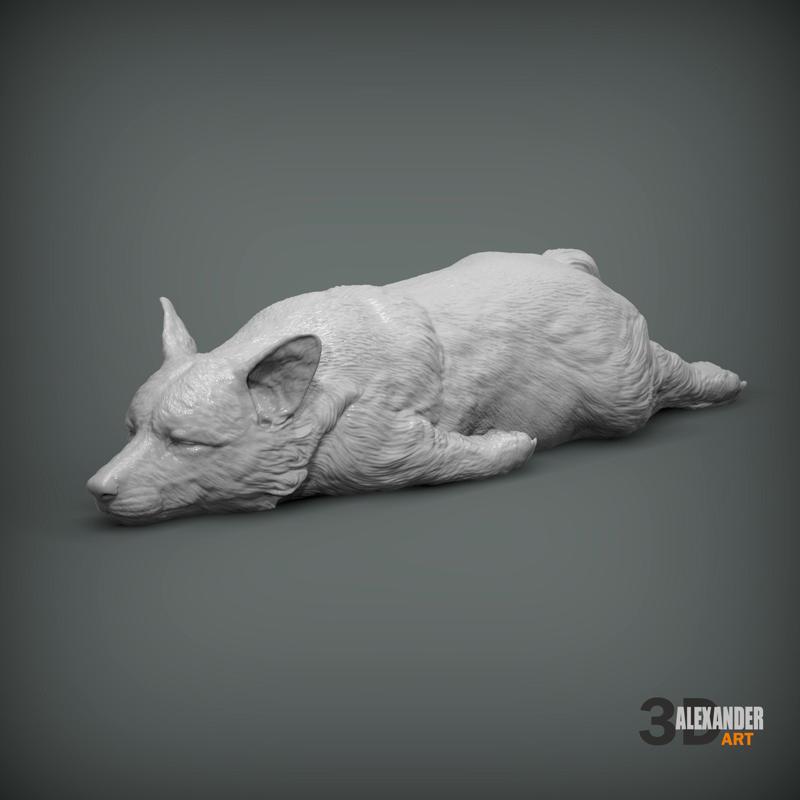 Sleeping Corgi