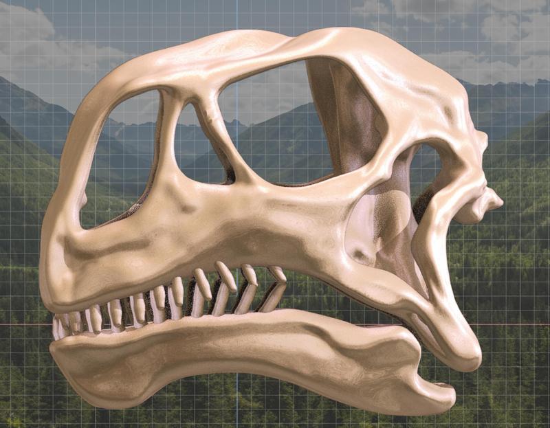 Dreadnoughtus schrani