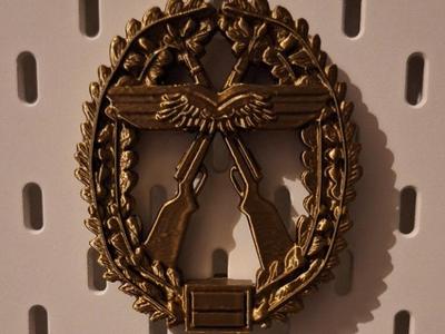Air Force Force Protection Beret Badge with Skadis Wall Mount