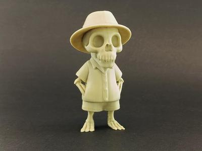 Explorer Skull