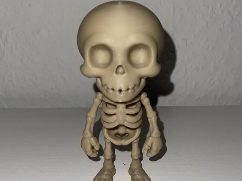 Skellet