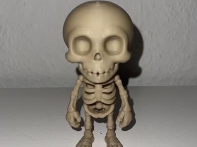 Skellet