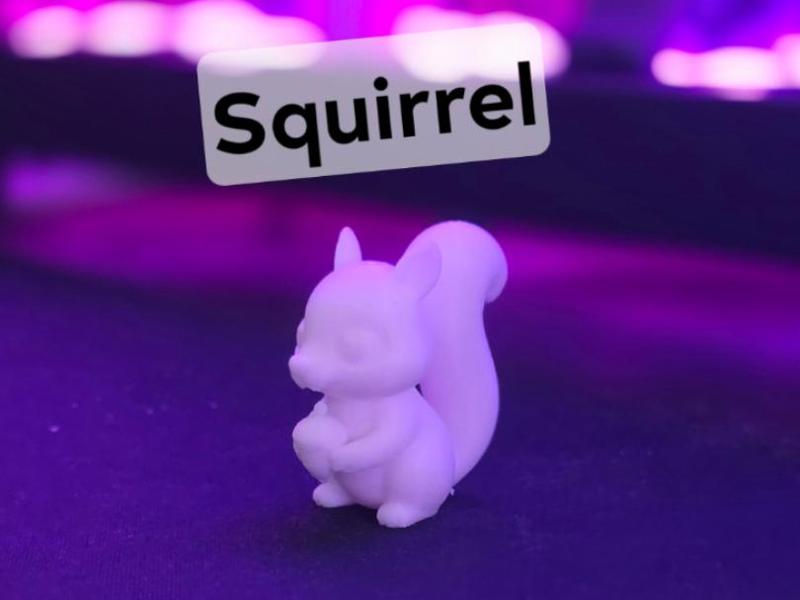 Squirrel with Acorn