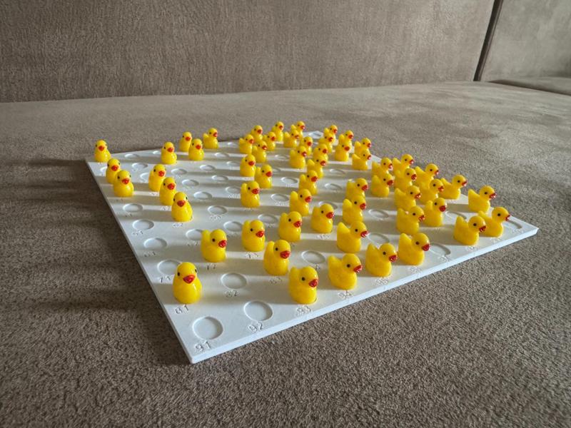100 miniature ducks holder