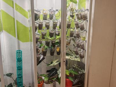 Propagation Station - IKEA MILSBO