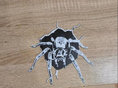 Halloween Spider from the wall Hueforge