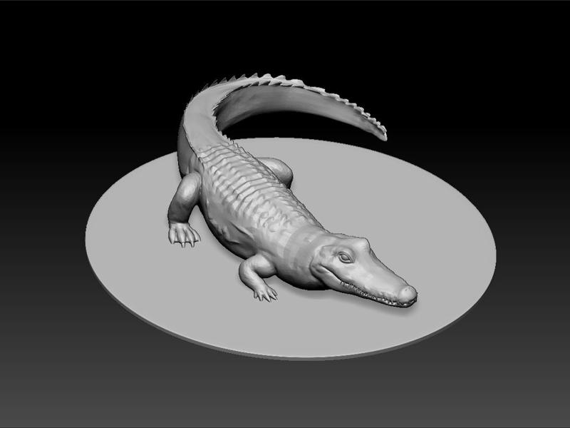 Crocodile