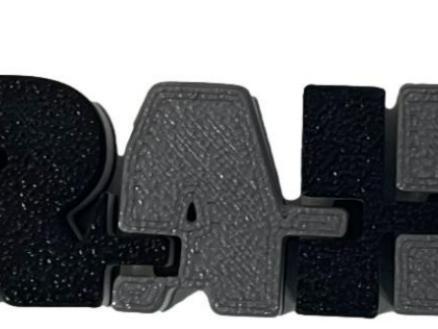 Las Vegas Raiders Flexi Key Chain