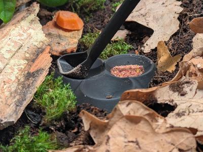 Long spoon and feeder for isopods or small insects