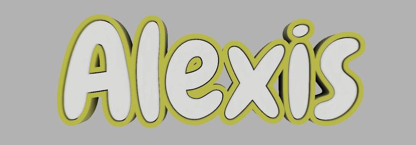 Two-tone key ring - Alexis