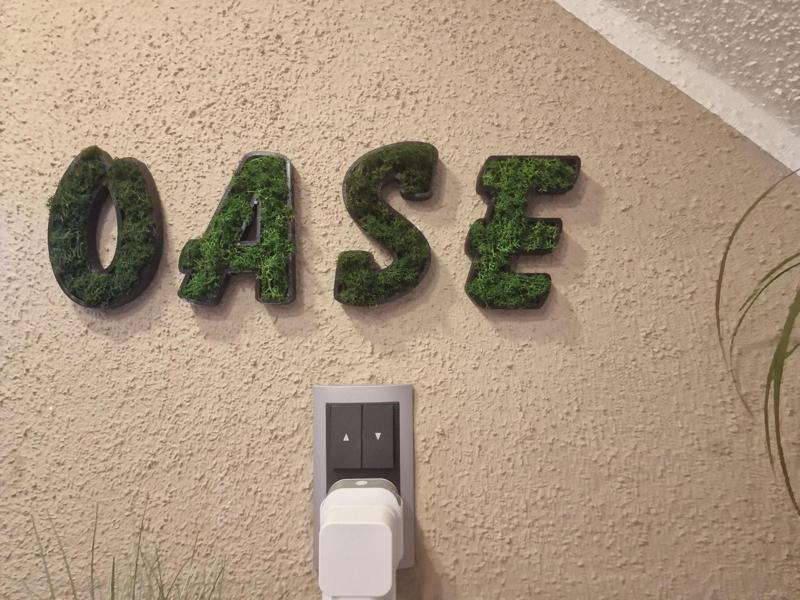 OASE Moos Wandbild