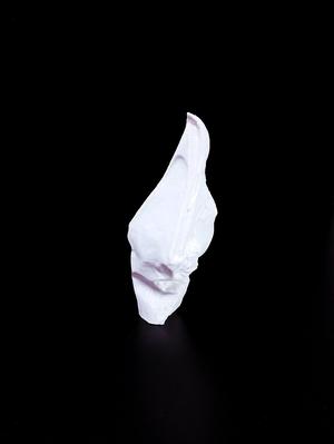 Vulturine Guineafowl head