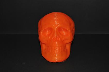 Halloween Skull Toy
