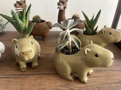 flowerpot CAPIBARA