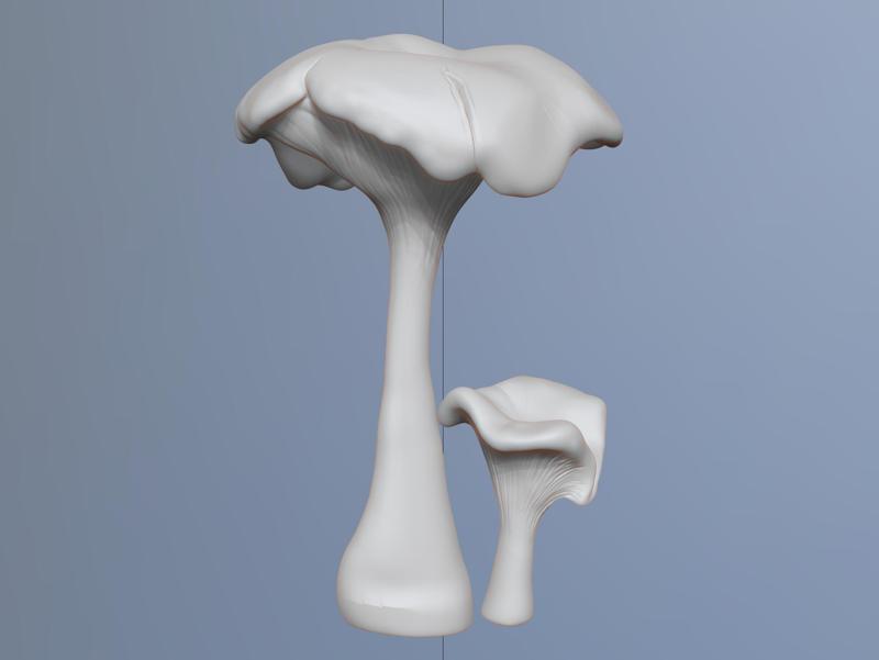 naturalist sculpture mushrooms girolle