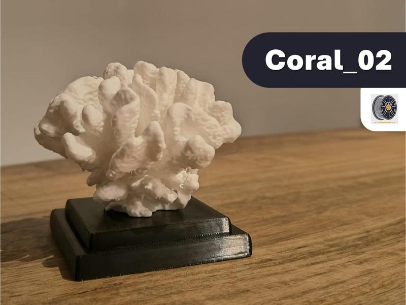 Coral_02 | Minimalistic nature decor