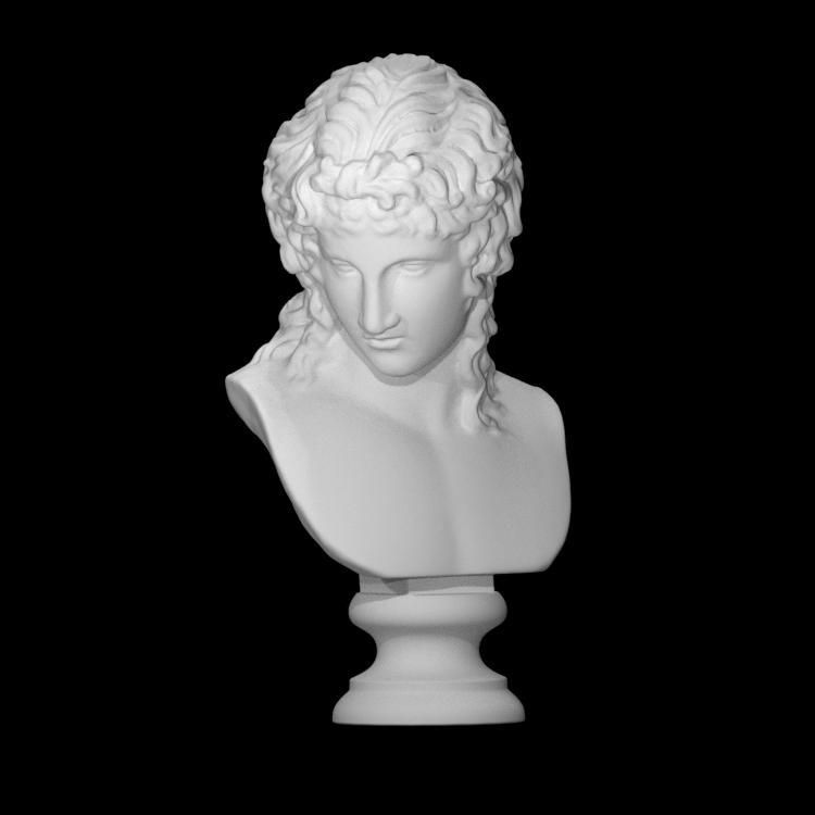Bust of Adonis