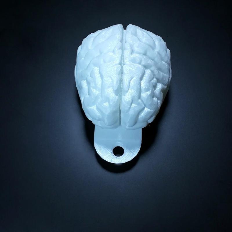 Brain keychain