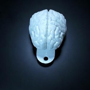 Brain keychain