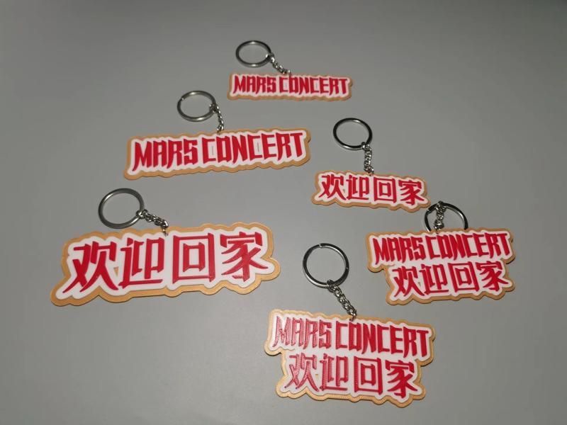 Huachenyu Mars Concert Welcome Home Logo