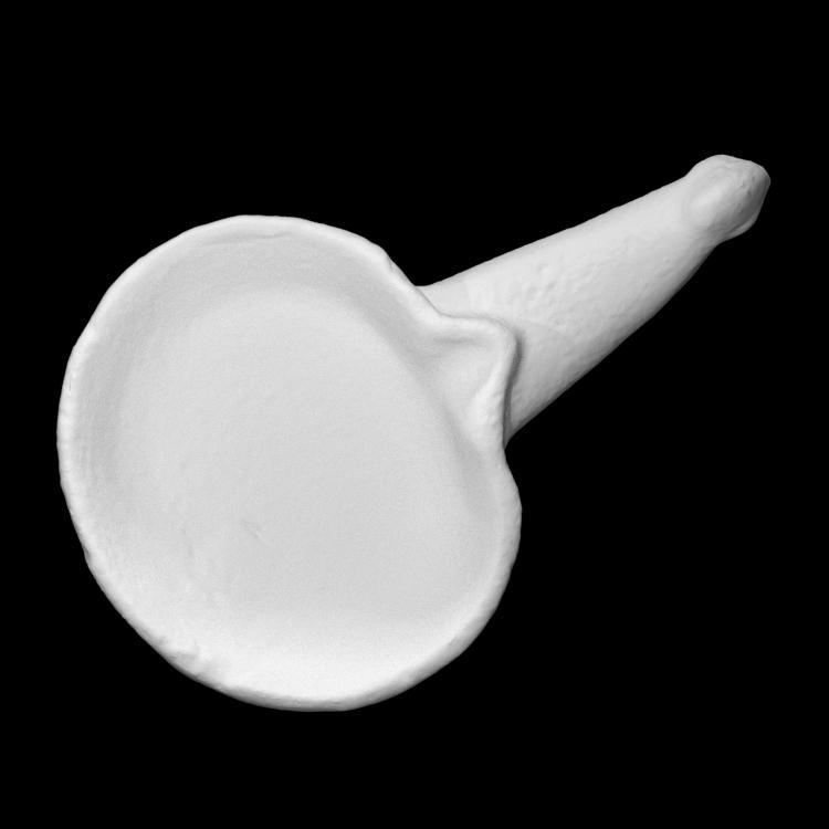 Ceramic Ladle