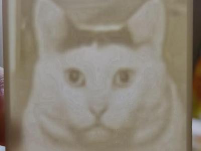 Aw, cute cat lithophane
