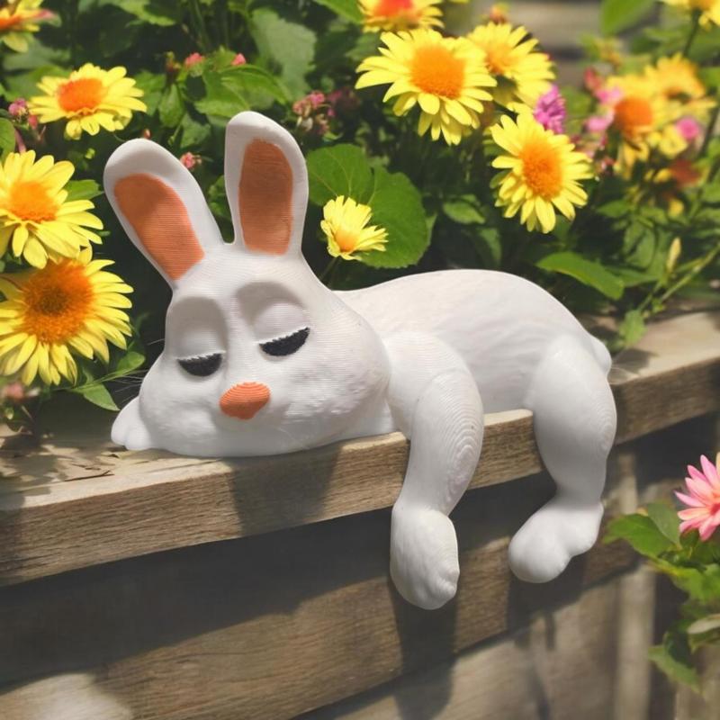 Sleeping Bunny Rabbit On A Shelf 🐰