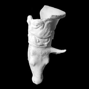 Rhyton with Relief of a Griffin attacking an Amazon