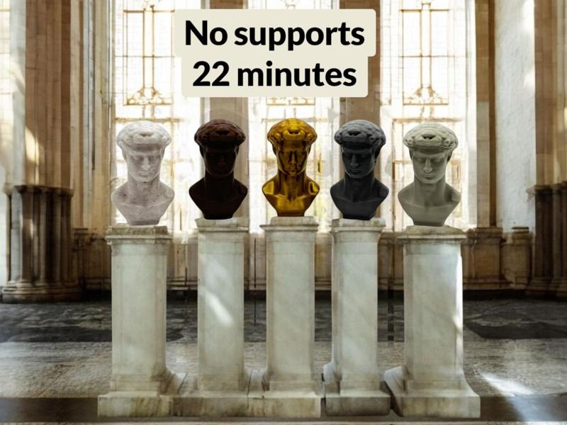 King David Mini Head