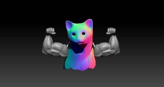 Cat Muscle ARM - V2