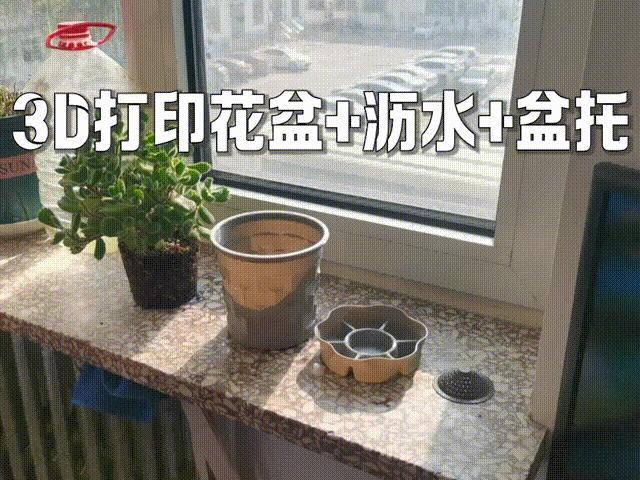 Flower Pot Kit (Pot + Drainage + Saucer)